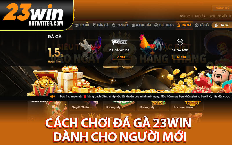 Đá gà 23win