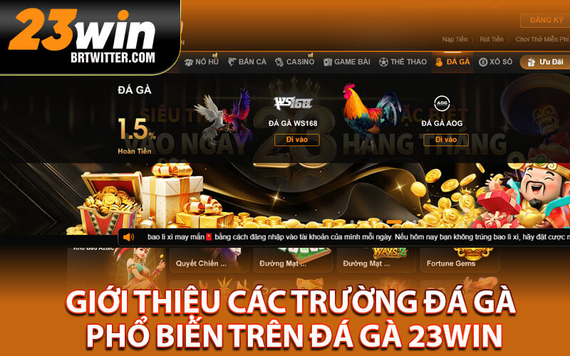 Đá gà 23win